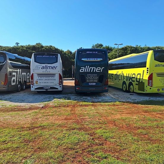 Vier Allmer-Busse sind auf einem Parkplatz geparkt, mit Gras und Bäumen im Hintergrund. Zwei Busse sind gelb, einer schwarz und einer grau.