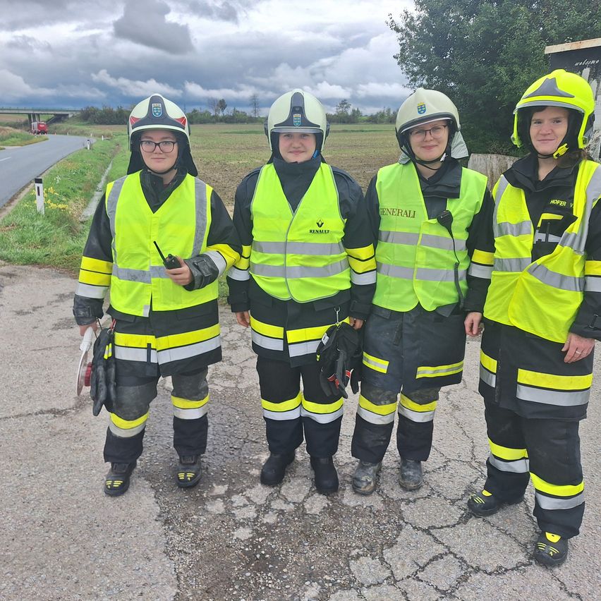 Bild enthält, Person, Helmet, Adult, Male, Man, Worker, Jacket, Road, Car, Face