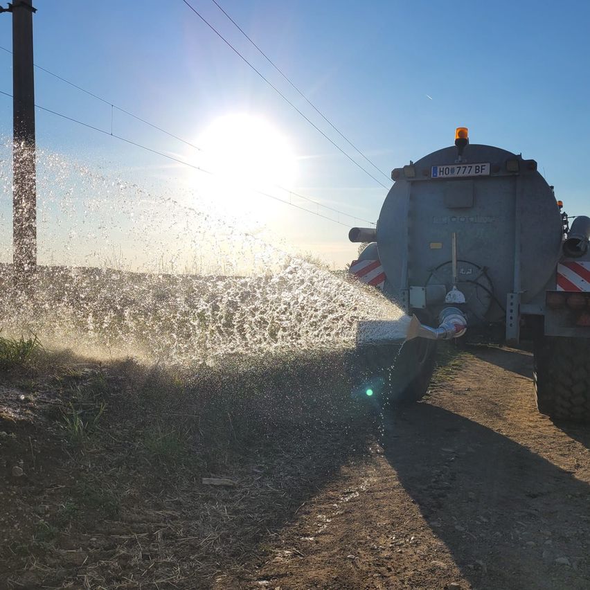 Ein Wasserwagen sprüht Wasser auf einer Erdstraße, die von der Sonne hell beleuchtet wird.