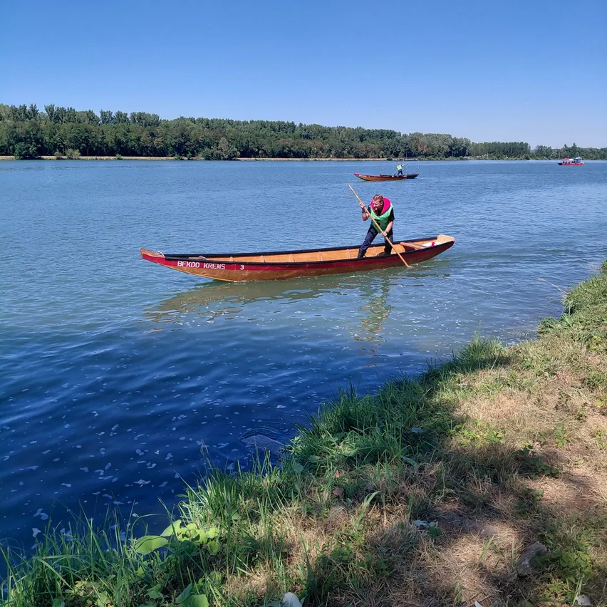 Eine Person in einem roten Kanu paddelt auf einem ruhigen See mit klarem Himmel und entfernten Bäumen.