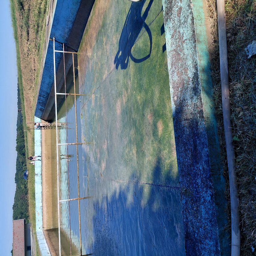 Eine Vogelperspektive auf ein großes Schwimmbecken mit Menschen am Rand und grünem Algenbewuchs. Ein Schatten fällt auf den Beckenrand.