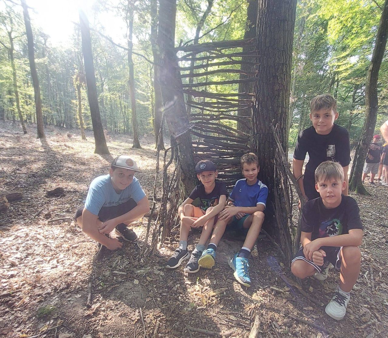 Bild enthält, Grove, Land, Tree, Vegetation, Woodland, Jungle, Wilderness, Grass, Park, Shorts