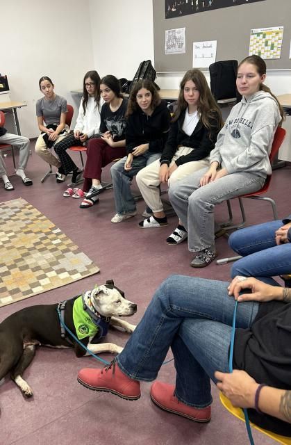 Bild enthält, Pants, People, Person, Shoe, Adult, Female, Woman, Dog, Indoors, Man