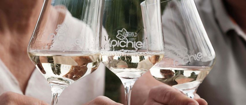 Drei Personen halten Weingläser mit weißem Wein, auf denen das Wort 'Pichier' eingraviert ist.