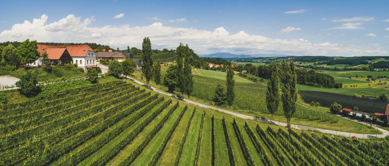 279239956_5243886768987551_8812575173787820028_n