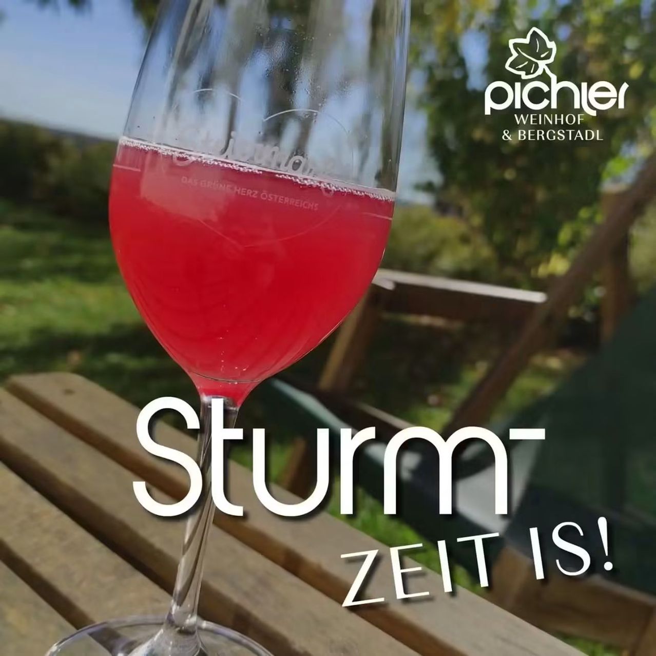 A glass of red wine with the text 'Sturm Zeit is!' on a wooden table with a blurry background of trees.