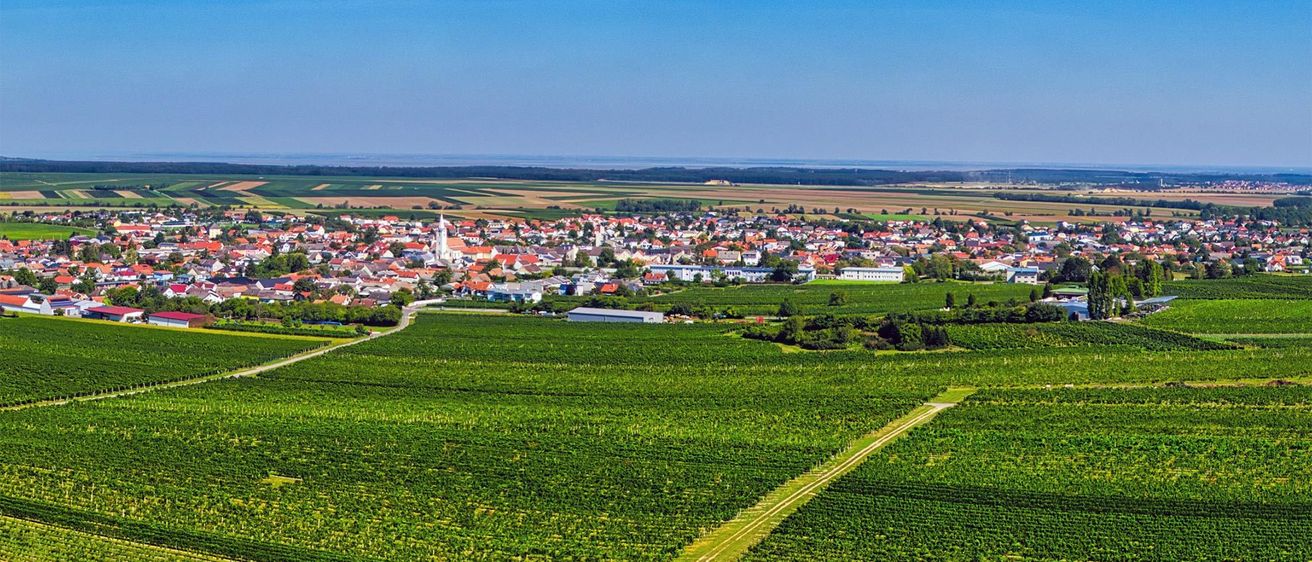 Luftaufnahme eines Dorfes mit vielen Gebäuden, umgeben von üppigen grünen Weinbergen und einem klaren blauen Himmel.