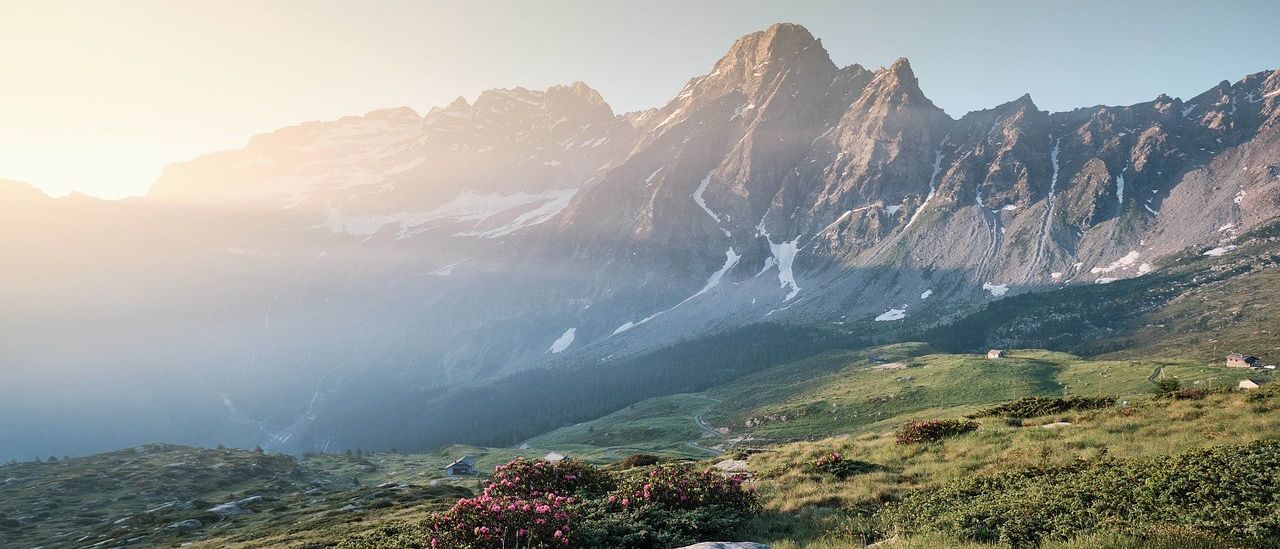 Eine Berglandschaft mit einem friedlichen Sonnenaufgang, einem entfernten Haus und einem lebhaften Feld mit rosa Blüten inmitten üppiger Grünflächen und felsigem Gelände.