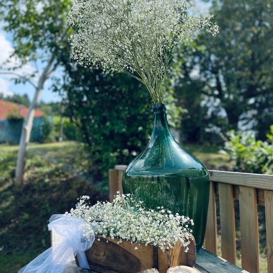 Potted Plant, Wood, Jar, Flower Arrangement, Bridal Veil, Interior Design, Tape, Tabletop, Tree, Vase