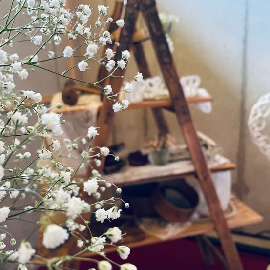 Flower, Wood, Furniture, Interior Design, Potted Plant