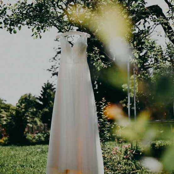 Dress, Fashion, Formal Wear, Gown, Wedding, Wedding Gown, Vegetation, Tree, Flower