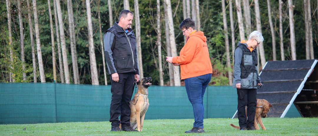 Bild enthält, Adult, Male, Man, Person, Jacket, Jeans, Canine, Mammal, Dog, Pet