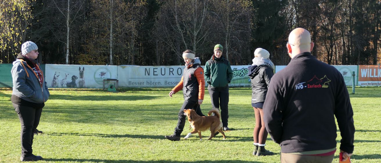 Bild enthält, People, Person, Adult, Male, Man, Canine, Dog, Police Dog, Grass, Shorts