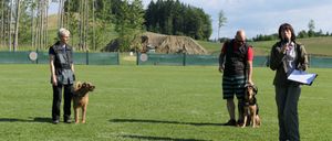 Eine Frau und ein Mann mit Hunden auf einem Feld mit einem Erdhügel im Hintergrund und einem Schild davor.