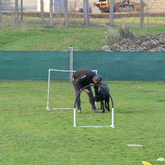 Bild enthält, Grass, People, Person, Adult, Male, Man, Field, Lawn, Glove, Grassland