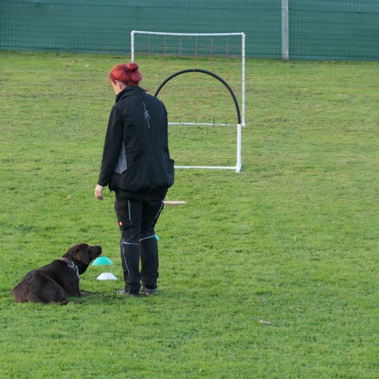 Bild enthält, Grass, People, Person, Adult, Male, Man, Lawn, Dog, Shoe, Coat