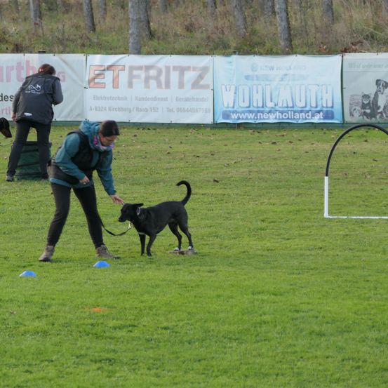 Bild enthält, Grass, Person, Dog, Police Dog, Adult, Male, Man, Shoe, Lawn, Pointer