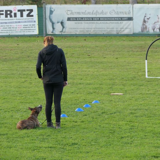 Bild enthält, Grass, Dog, Police Dog, Adult, Female, Person, Woman, Lawn, Shoe, Jacket