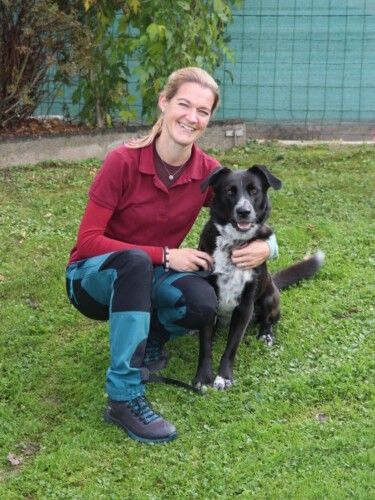Bild enthält, Grass, Shoe, Pants, Face, Person, Photography, Portrait, Sitting, Dog, Backyard
