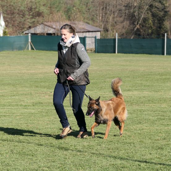 Bild enthält, Female, Girl, Person, Teen, Canine, Dog, Mammal, Pet, Police Dog, Grass