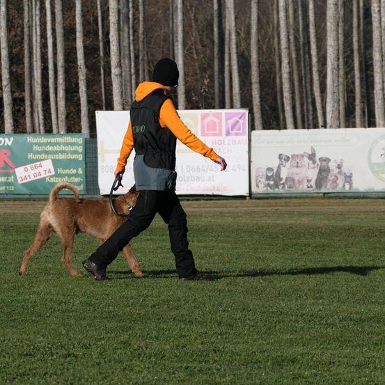Bild enthält, Grass, Person, Animal, Canine, Dog, Mammal, Pet, Police Dog, People, Coat