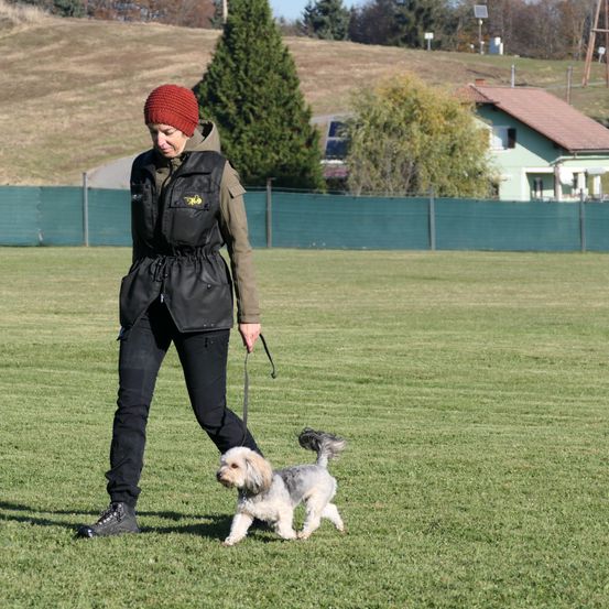 Bild enthält, Grass, Adult, Male, Man, Person, Canine, Dog, Mammal, Pet, Jacket