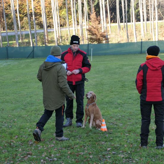 Bild enthält, Grass, Coat, Jacket, Person, Park, Adult, Male, Man, Dog, Walking