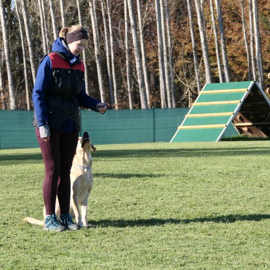Bild enthält, Person, Animal, Canine, Mammal, Pet, Police Dog, Grass, Jacket, Shoe, Face