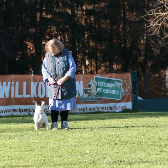 Bild enthält, Grass, Person, Shoe, Adult, Female, Woman, Canine, Dog, Mammal, Coat