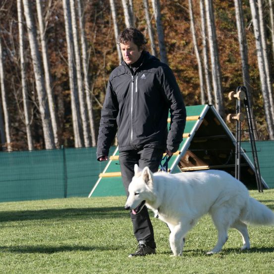 Bild enthält, Adult, Male, Man, Person, Animal, Canine, Dog, Mammal, Pet, Shoe