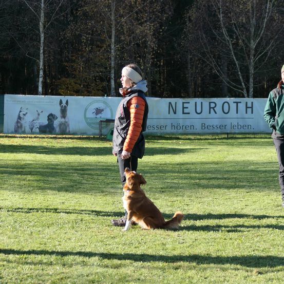 Bild enthält, Canine, Dog, Police Dog, Grass, Adult, Male, Man, Person, People, Shoe