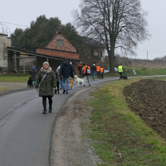 Bild enthält, Person, Walking, Road, Coat, Tarmac, Glove, Path, Dog, Shoe, Outdoors