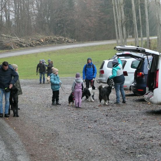 Bild enthält, Person, Walking, Adult, Male, Man, Jeans, Dog, Road, Path, Car