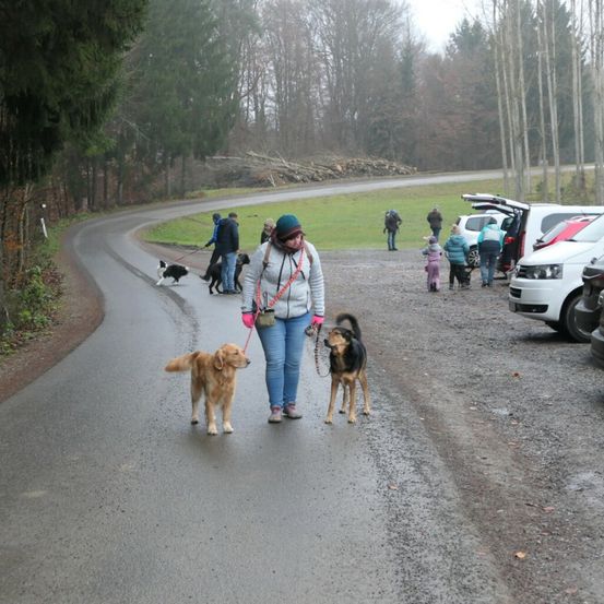 Bild enthält, Person, Walking, Path, Tree, Vegetation, Road, Spoke, Dog, Alloy Wheel, Glove