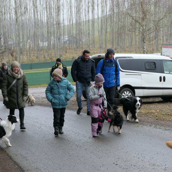 Bild enthält, Person, Walking, Coat, Jacket, Glove, Dog, Boy, Child, Male, Man