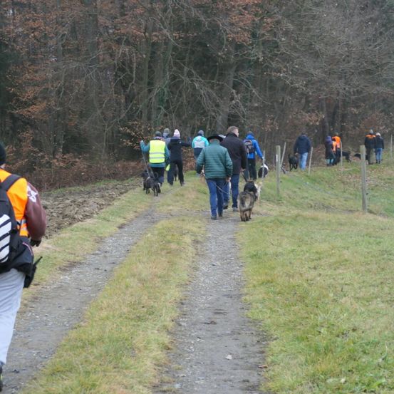 Bild enthält, Person, Walking, Hiking, Path, Glove, Bag, Hat, Trail, Shoe, Backpack