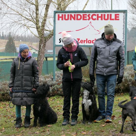 Bild enthält, Coat, Jacket, Glove, Pants, Person, Walking, Adult, Male, Man, Grass