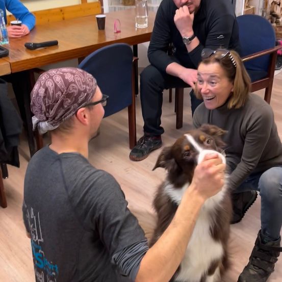 Bild enthält, Adult, Male, Man, Person, Doctor, Animal, Canine, Mammal, Head