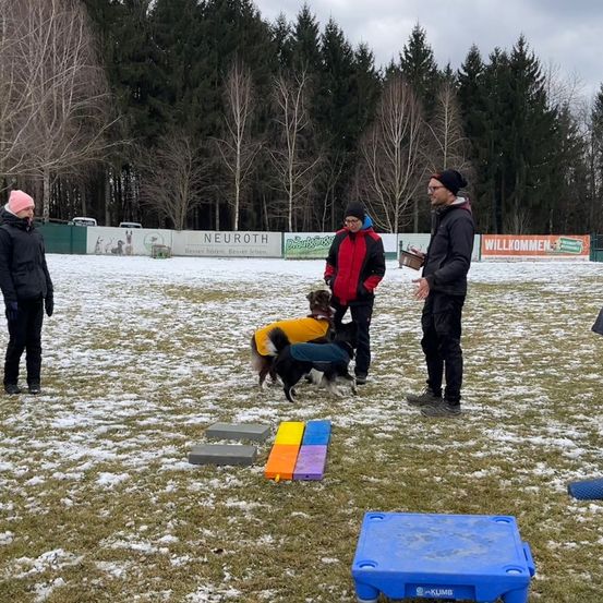 Bild enthält, Outdoors, Nature, Hoodie, Person, Dog, Shoe, Adult, Male, Man, Snow