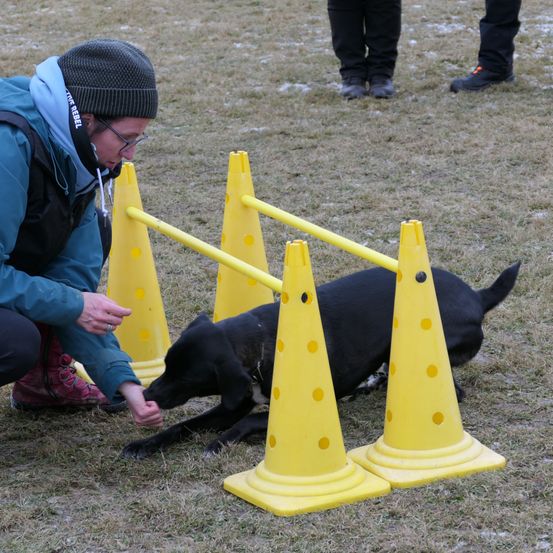 Bild enthält, Clothing, Hat, Person, Shoe, Boy, Child, Male, Dog, Face, Head