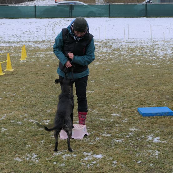 Bild enthält, Coat, Jacket, Adult, Male, Man, Person, Canine, Dog, Police Dog, Shoe