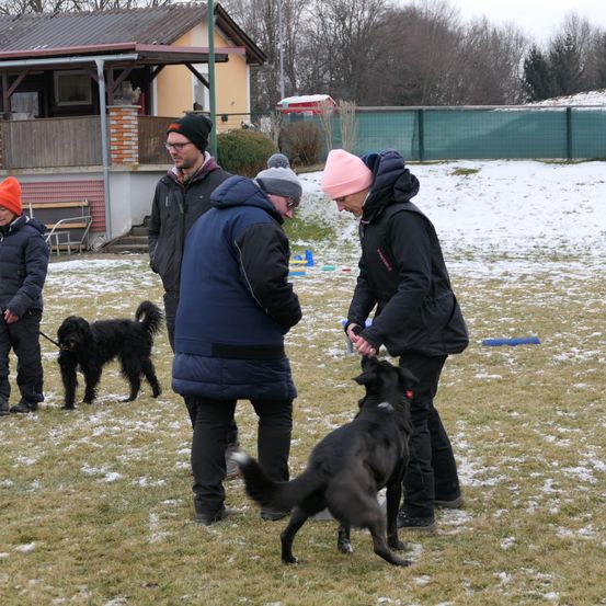 Bild enthält, Shelter, Person, Adult, Female, Woman, Cap, Hat, Male, Man, Dog