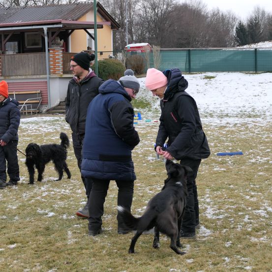 Bild enthält, Shelter, Person, Adult, Male, Man, Dog, Hat, Cap, Jacket, Glasses