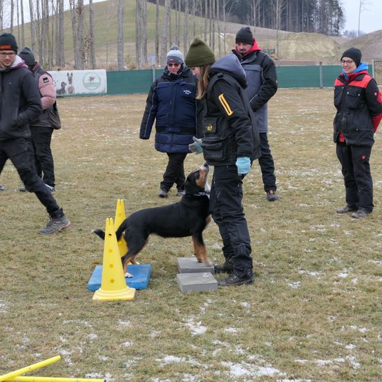 Bild enthält, Jacket, Person, Adult, Male, Man, Canine, Dog, Shoe, Police Dog, Glasses