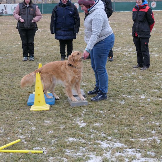 Bild enthält, Jacket, Person, Adult, Female, Woman, Dog, Jeans, Male, Man, Shoe