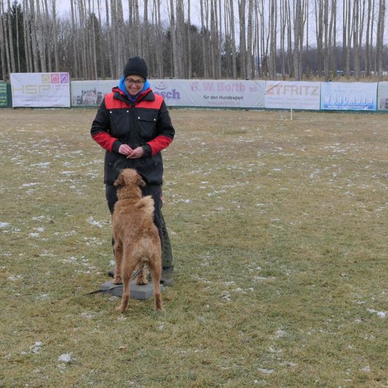 Bild enthält, Grass, Person, Canine, Dog, Coat, Hat, Glasses, Tree, Park, Golden Retriever