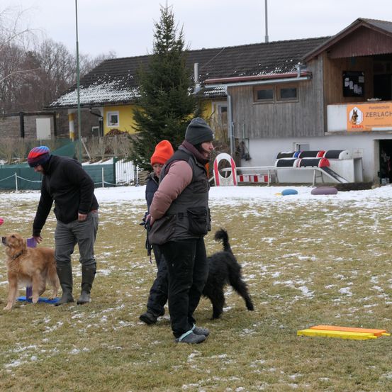 Bild enthält, Shelter, Tree, Neighborhood, Adult, Male, Man, Person, Female, Woman, Dog