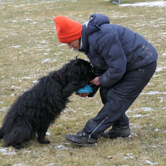 Bild enthält, Hat, Coat, Cap, Adult, Male, Man, Person, Canine, Dog, Pet
