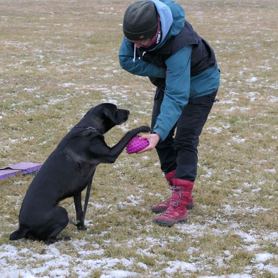 Bild enthält, Person, Animal, Canine, Dog, Mammal, Pet, Strap, Shoe, Coat, Outdoors