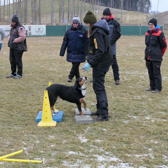 Bild enthält, Coat, Jacket, Person, Canine, Dog, Pet, Glove, Shoe, Jeans, Police Dog